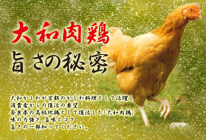 サンプル