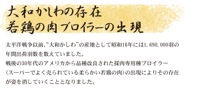 サンプル