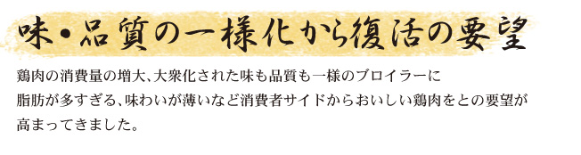 サンプル