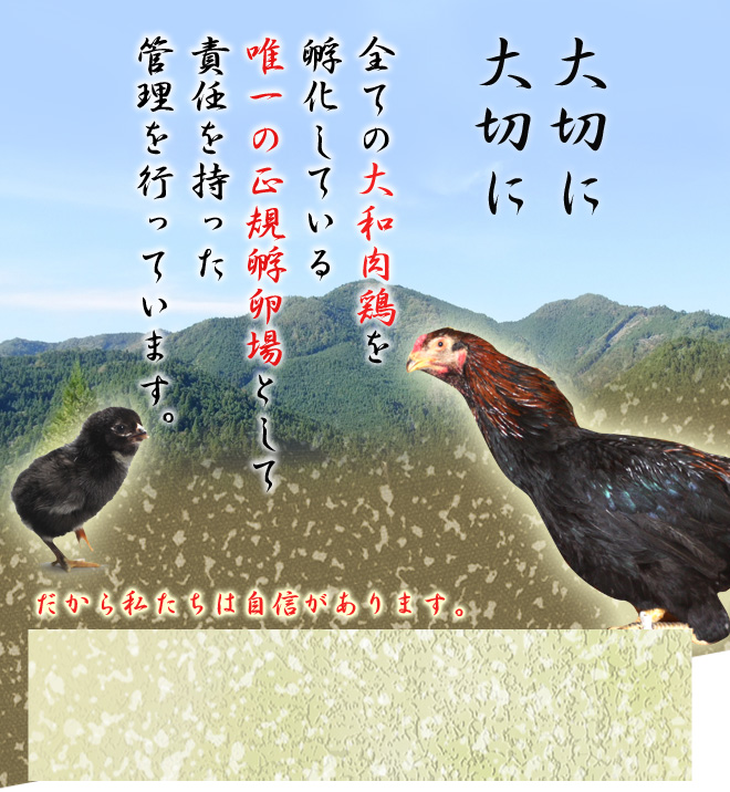 ホワイトボード