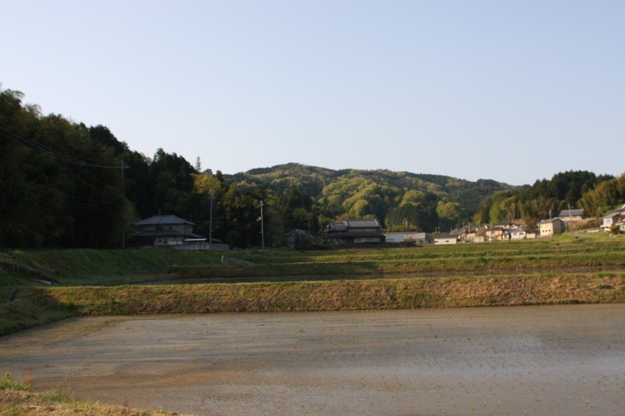 竹内孵卵場の農場風景