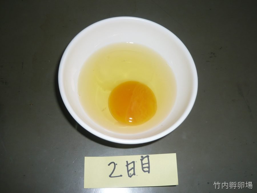 孵化2日目の様子