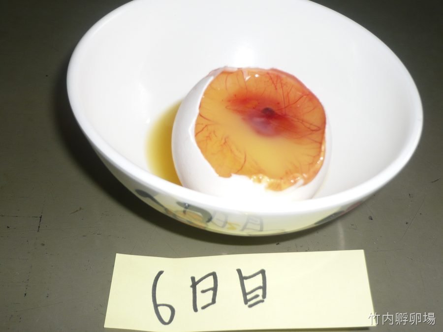 孵化6日目の様子