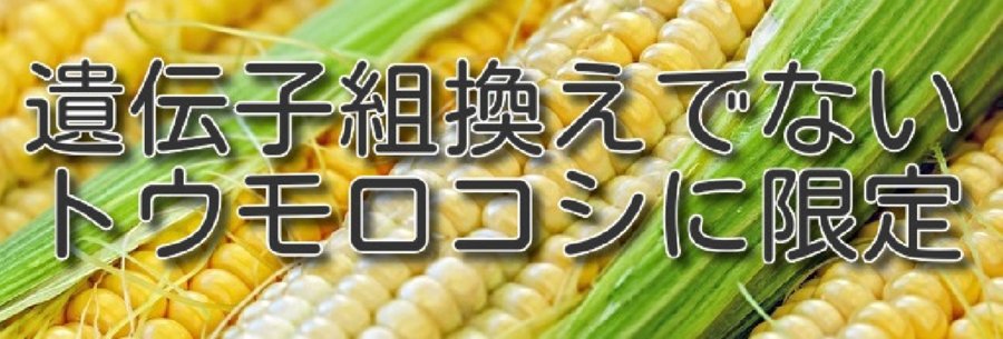 遺伝子組換えでないトウモロコシ